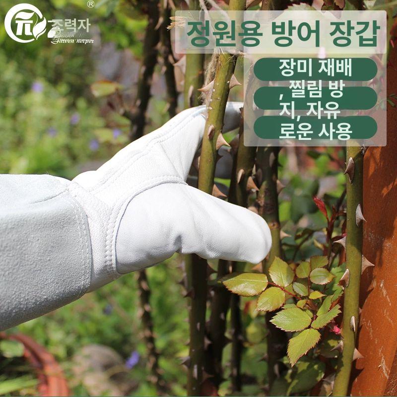 장미장갑 찔림방지 가시나무 그레이화이트 선인장 장미 산딸기 가드닝 글러브 양봉 조경 찔림 두꺼운짧은형화이트편안한소가죽 - 상세 이미지 2
