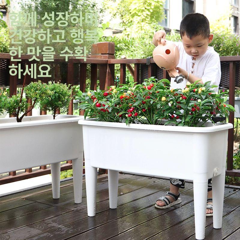 대용량 재배박스 플랜트 박스 화분 키높이 토분 녹색 식물이 없는 화이트 플라스틱 특대형 길이76x너비31x높이50 cm - 상세 이미지 3