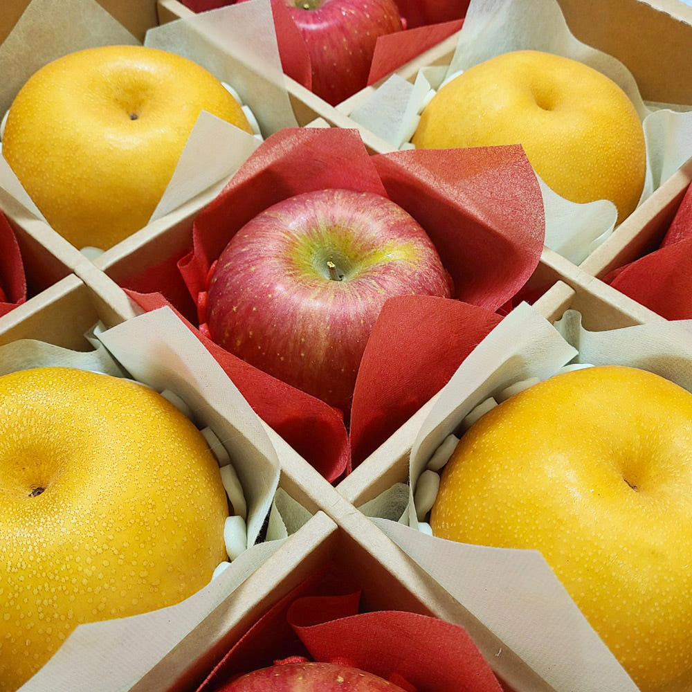 프리미엄 과일 혼합선물세트