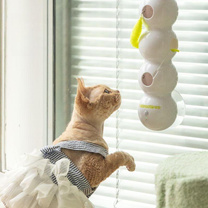 고양이 장난감 움직이는 벌레 잡기 혼자놀기 냥이 반려묘 놀잇감 고양이장난감 흰색 감각 애벌레 - 상품 이미지