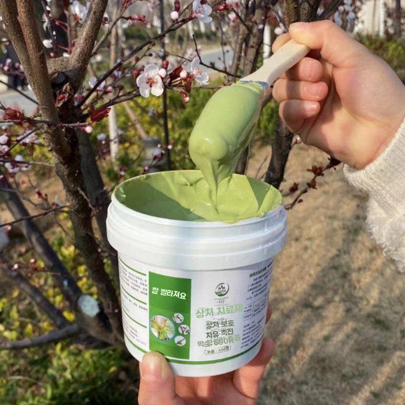 나무 보호제 연고 치유제 줄기 수목 치료제 분재 크림 - 상세 이미지 5