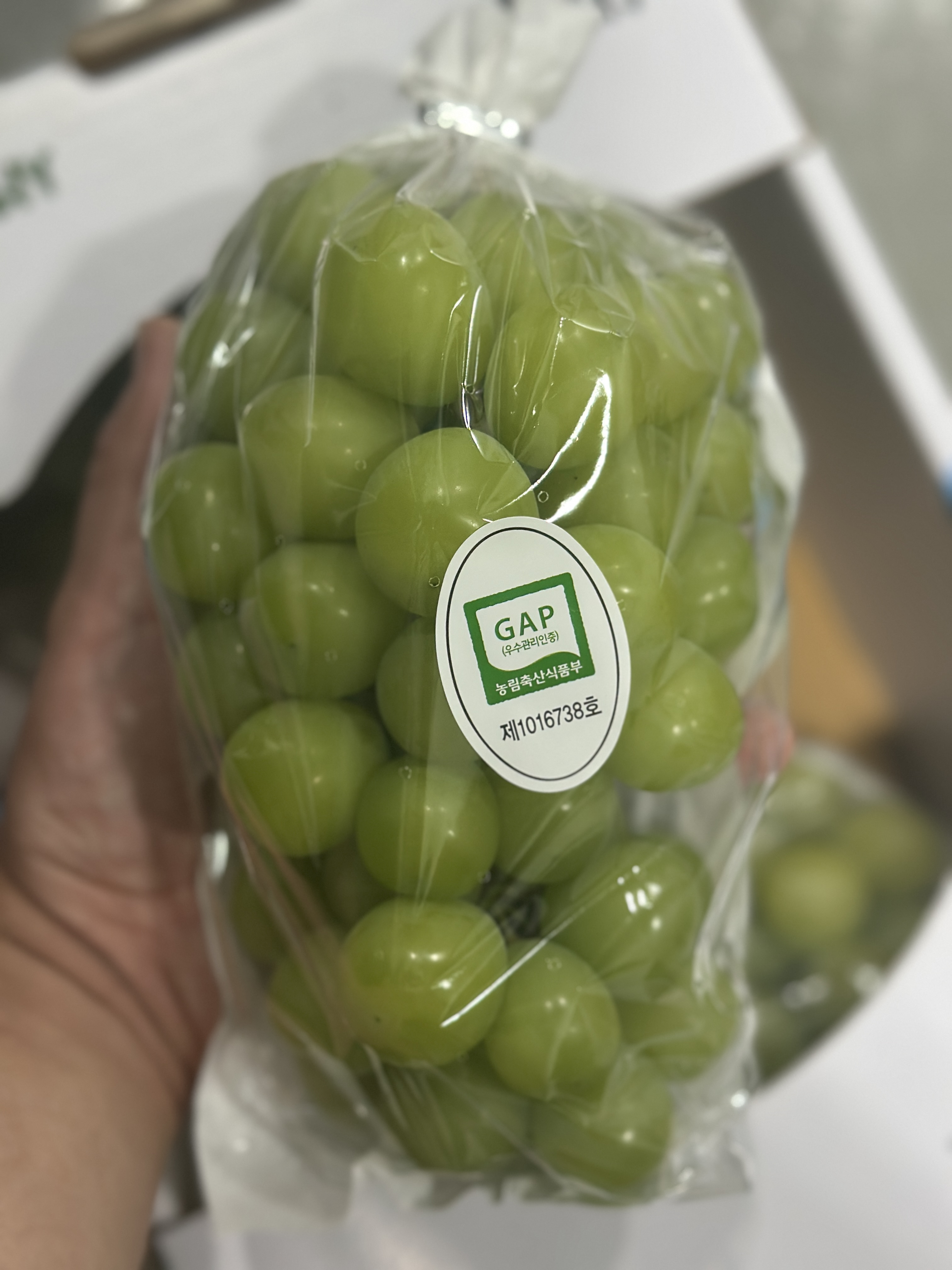 새벽경매 고당도 샤인머스켓 18Brix, 2kg, 1개 - 상세 이미지 4