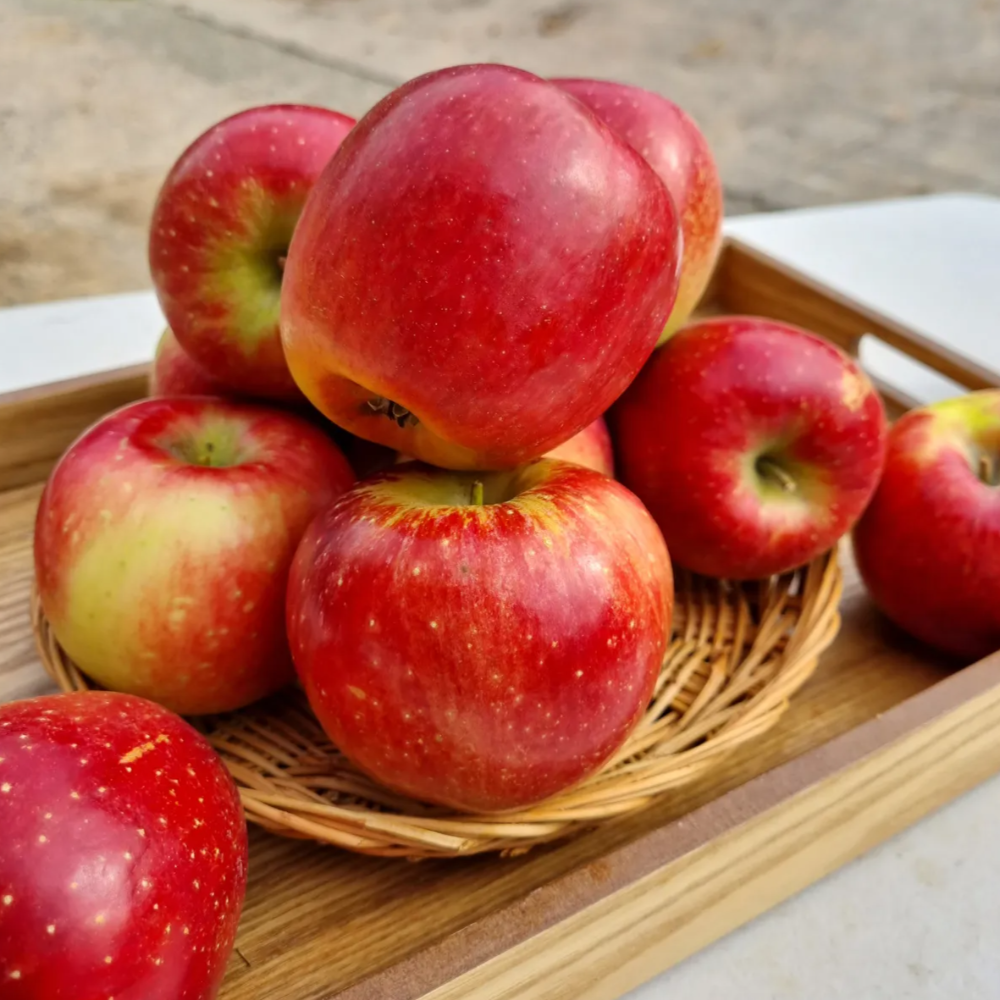 홍로 사과 꿀 아리수 문경 청송 감홍 가정용 못난이 사과