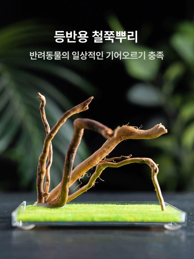 사마귀키우기 습식은신처 사마귀사육장 키우기 상단 먹이 상자 은신처 곤충 소라게 아크릴 사마귀형 소형 그물 11x9x16cm - 상세 이미지 5