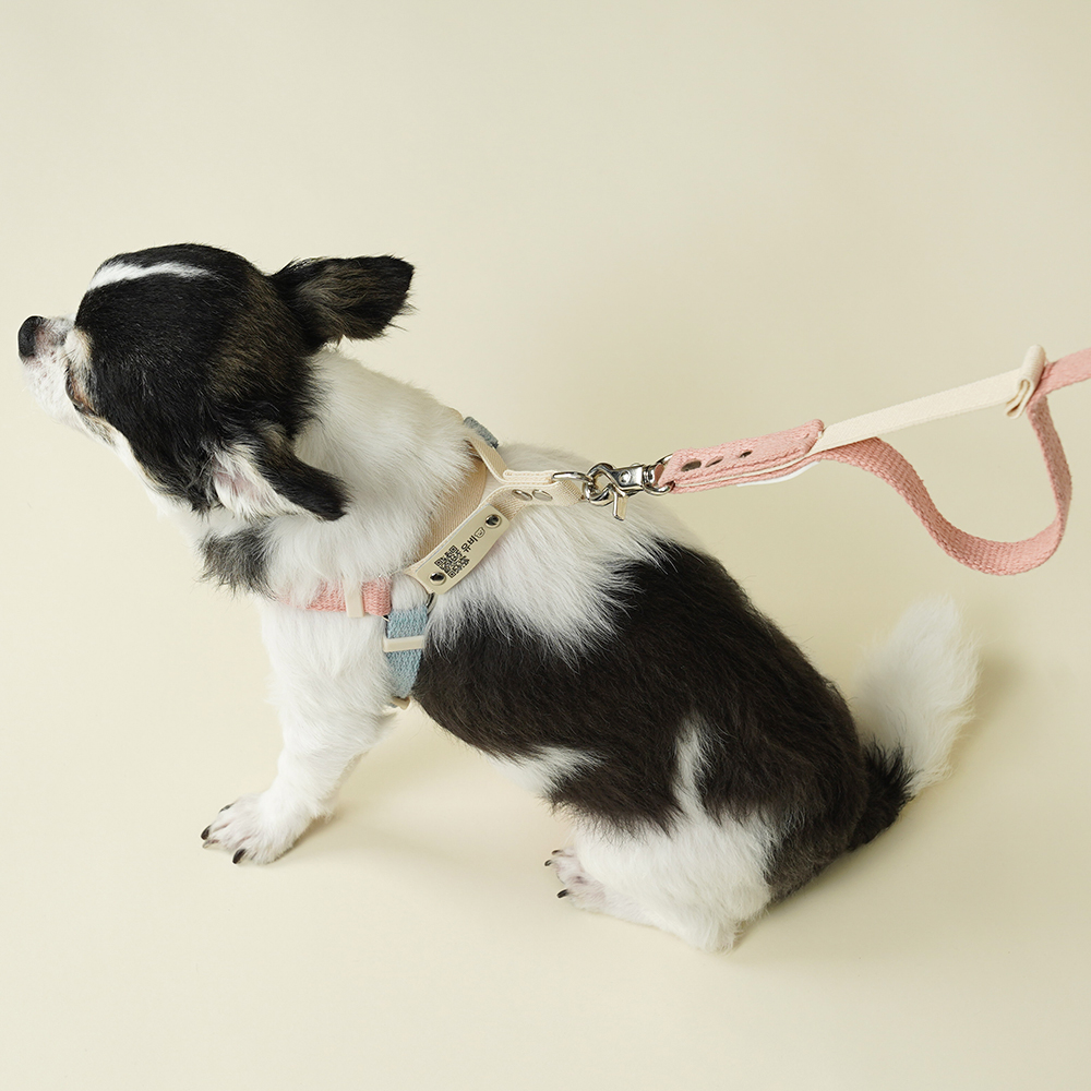[강아지의날] 마틴게일 Y형 강아지 인식표 하네스 이름표 가슴줄 이미지 4