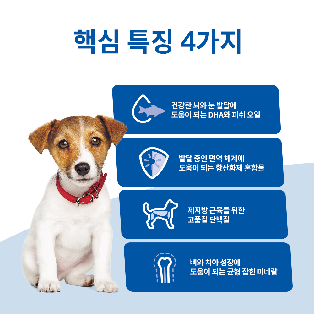 힐스 강아지사료 퍼피 스몰바이트 2kg 이미지 3