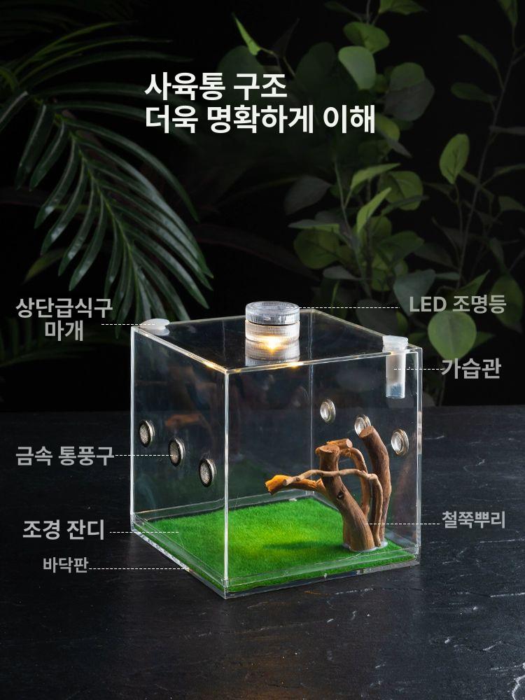 사마귀키우기 습식은신처 사마귀사육장 키우기 상단 먹이 상자 은신처 곤충 소라게 아크릴 사마귀형 소형 그물 11x9x16cm - 상세 이미지 3