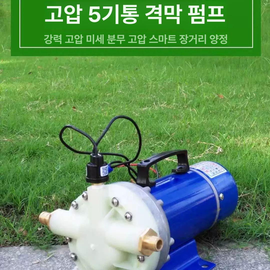 농업 고압펌프 분무기 세차 워터 살수기 실린더 전동 12V 벌크 펌프 - 상세 이미지 3