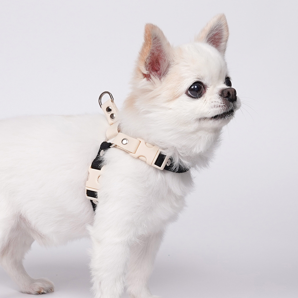 [강아지의날] 마틴게일 Y형 강아지 인식표 하네스 이름표 가슴줄 이미지 2