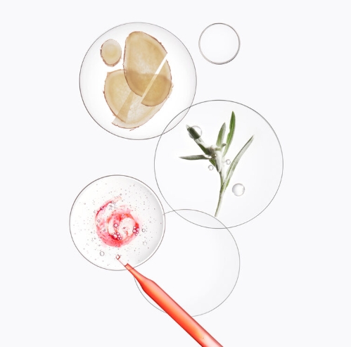 제네시스샴푸 방 제네시스 리치 건성두피용 대용량 샴푸 1000ML 케라스타즈 새싹케어 1L, 1개 이미지 3