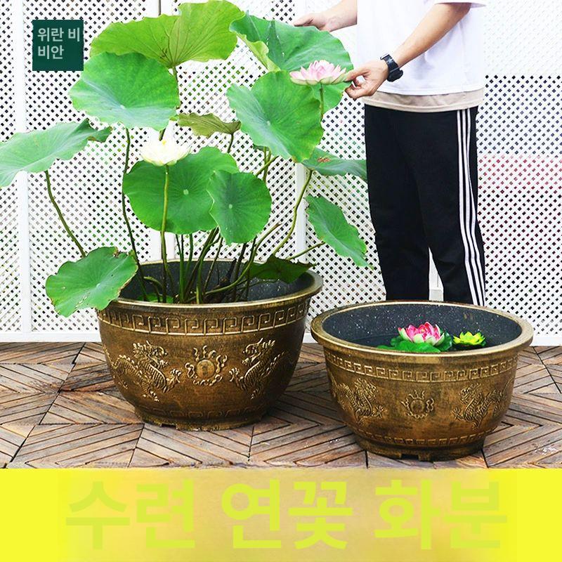 대형 플라스틱 수반 수경재배 모조 인테리어 원예 원예용품 실내 플라스틱수반 대형수반 용통 80 외경80x높이41cm 플라스틱 구멍 없는 연꽃 화분 - 상세 이미지 5