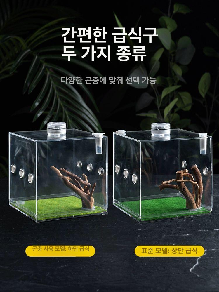 사마귀키우기 습식은신처 사마귀사육장 키우기 상단 먹이 상자 은신처 곤충 소라게 아크릴 사마귀형 소형 그물 11x9x16cm - 상세 이미지 4