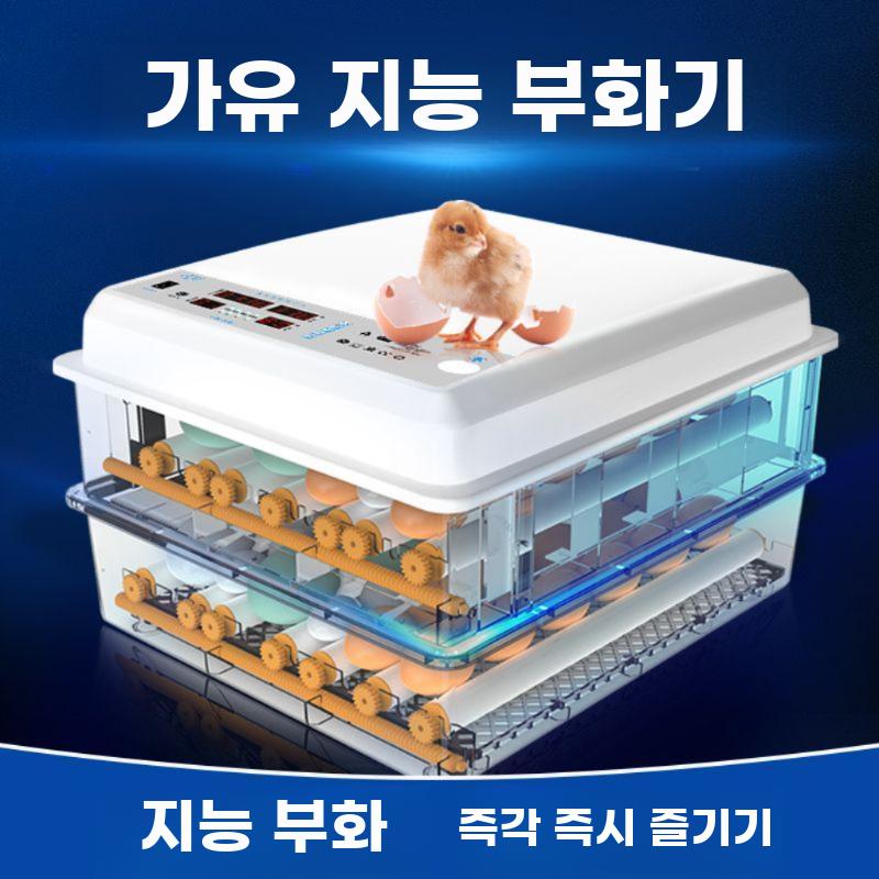 병아리 부화기 조류 자동 계란 달걀 육추기 유정란 농장 - 상세 이미지 2