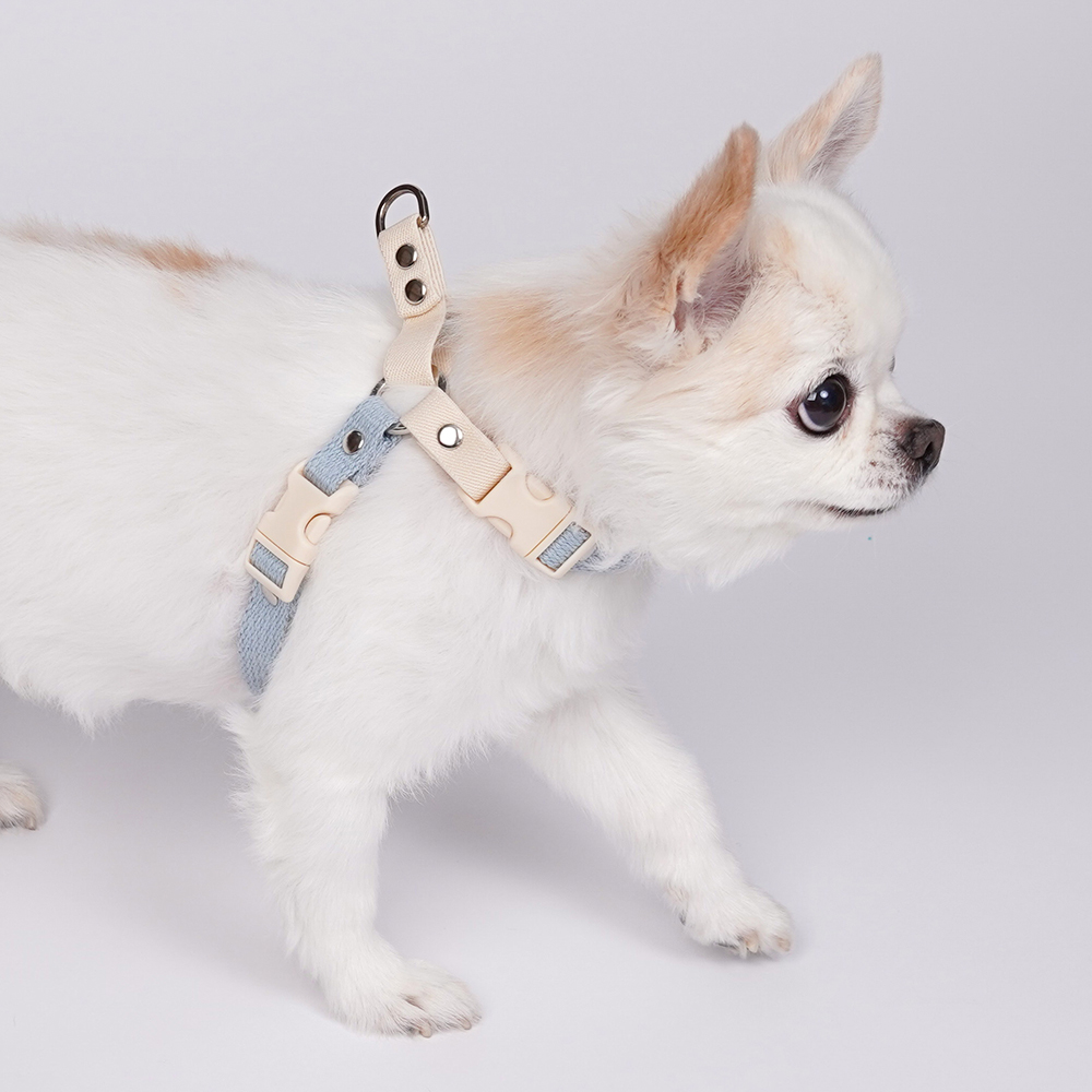 [강아지의날] 마틴게일 Y형 강아지 인식표 하네스 이름표 가슴줄 이미지 3