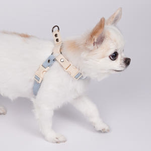 [강아지의날] 마틴게일 Y형 강아지 인식표 하네스 이름표 가슴줄 솔직 후기 | 실제 사용자 리뷰 총정리 - 상품 이미지 3