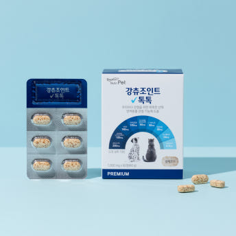 바른뉴트리펫 강츄조인트 톡톡 강아지 관절 영양제 슬개골 연골 노견 고양이