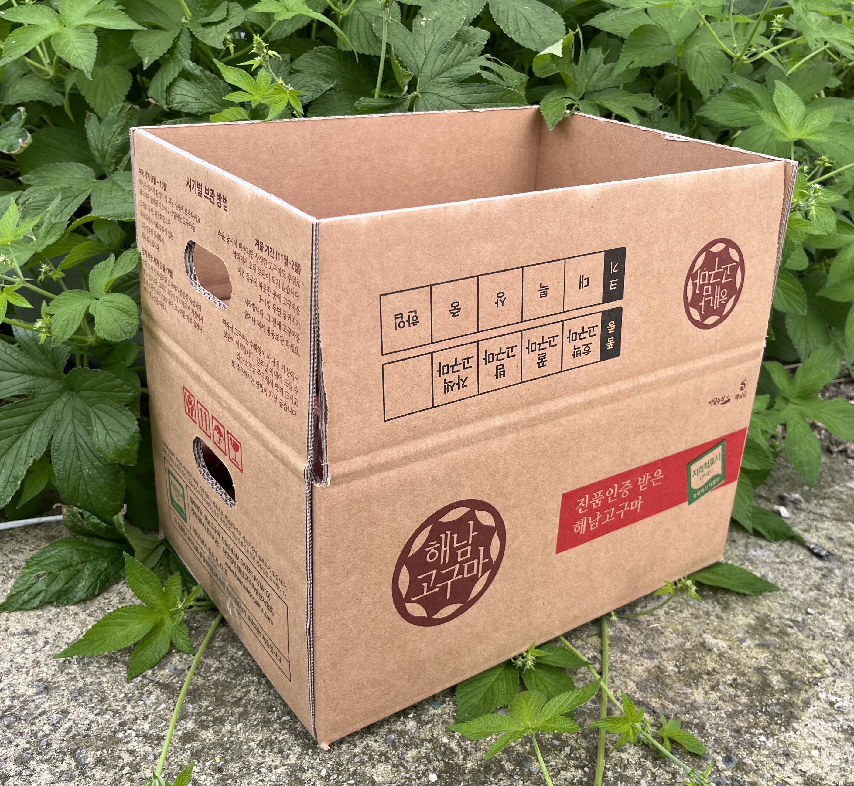 [농장직송] 25년 수확 해남꿀고구마 한입 중상 특상 10KG 이미지 8