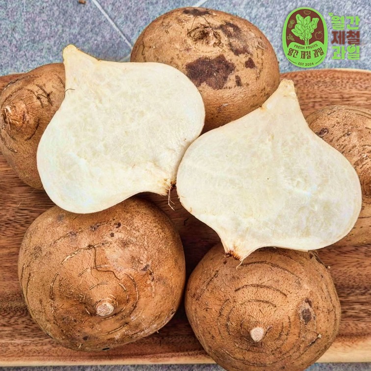 히카마 감자 효능 히까마 멕시코 감자 가을 햇감자 자주 홍감자 적감자