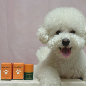 아이리스 강아지 미끄럼방지 파우더 발바닥 보호제 관절 보호 슬개골탈구 논... 솔직 후기 | 실제 사용자 리뷰 총정리 - 상품 이미지 4