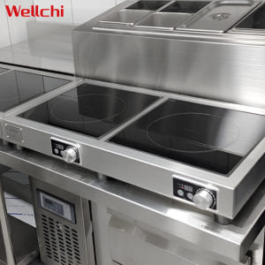 업소용인덕션 2구 고화력  웰치 이동식 전기레인지 고효율 전기렌지 다이얼... 개봉기 | 실사용 후기 - 상품 이미지 1