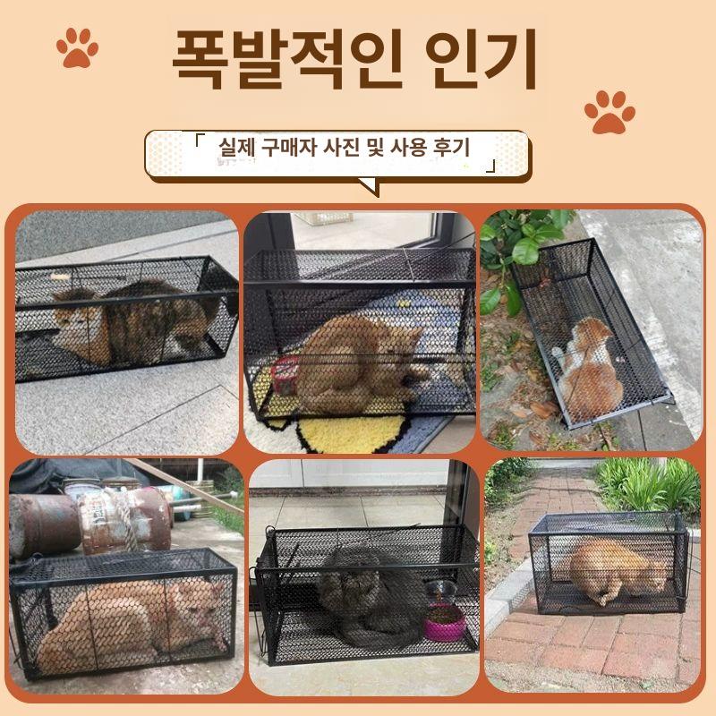 오소리 덫 너구리 트랩 멧돼지 고양이 방법 퇴치 소형 새끼 고양이 2호 0.5~1kg L - 상세 이미지 5