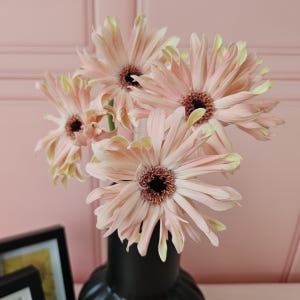 유스풀몰 파스타거베라 1송이 1줄기 생화택배 꽃배달 싼곳 솔직 후기 | 실사용자 리뷰 분석 - 상품 이미지 1