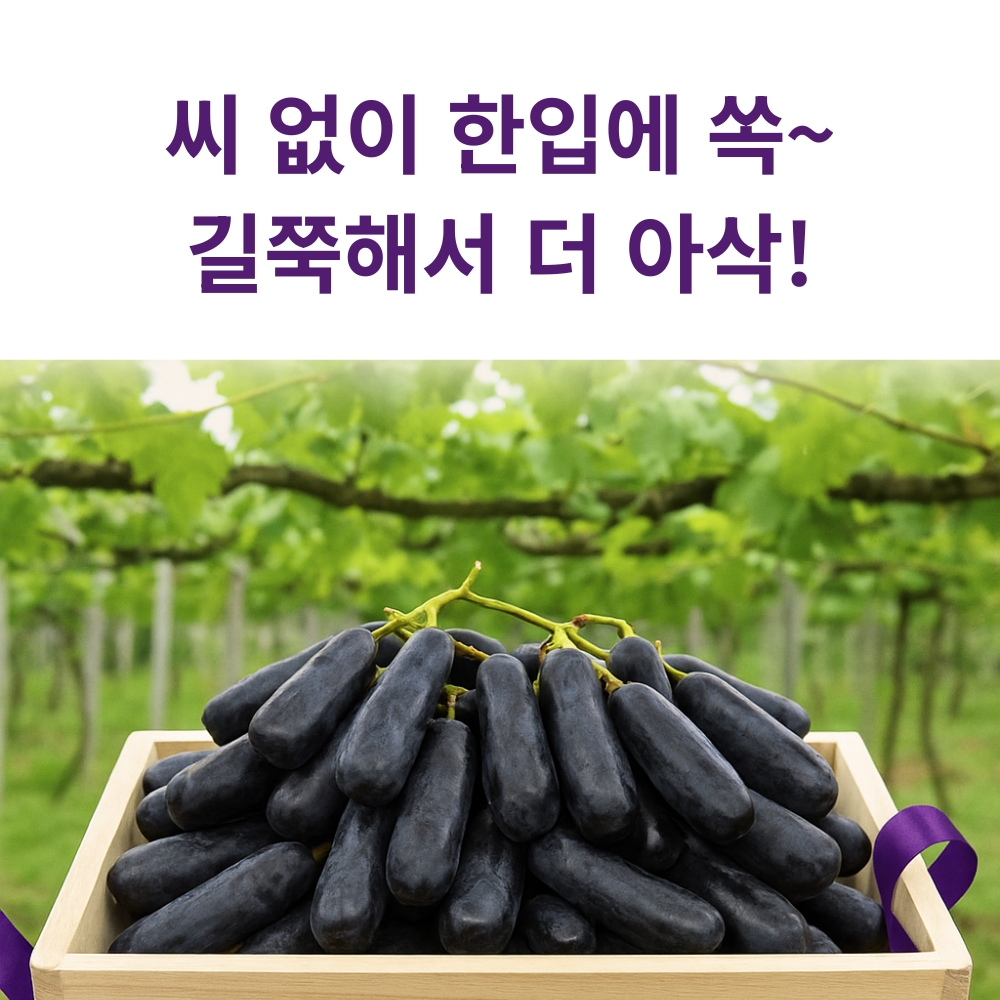 씨없는 블랙사파이어포도 수입 제철과일 가지포도 18Brix, 1kg, 2개 - 상세 이미지 5