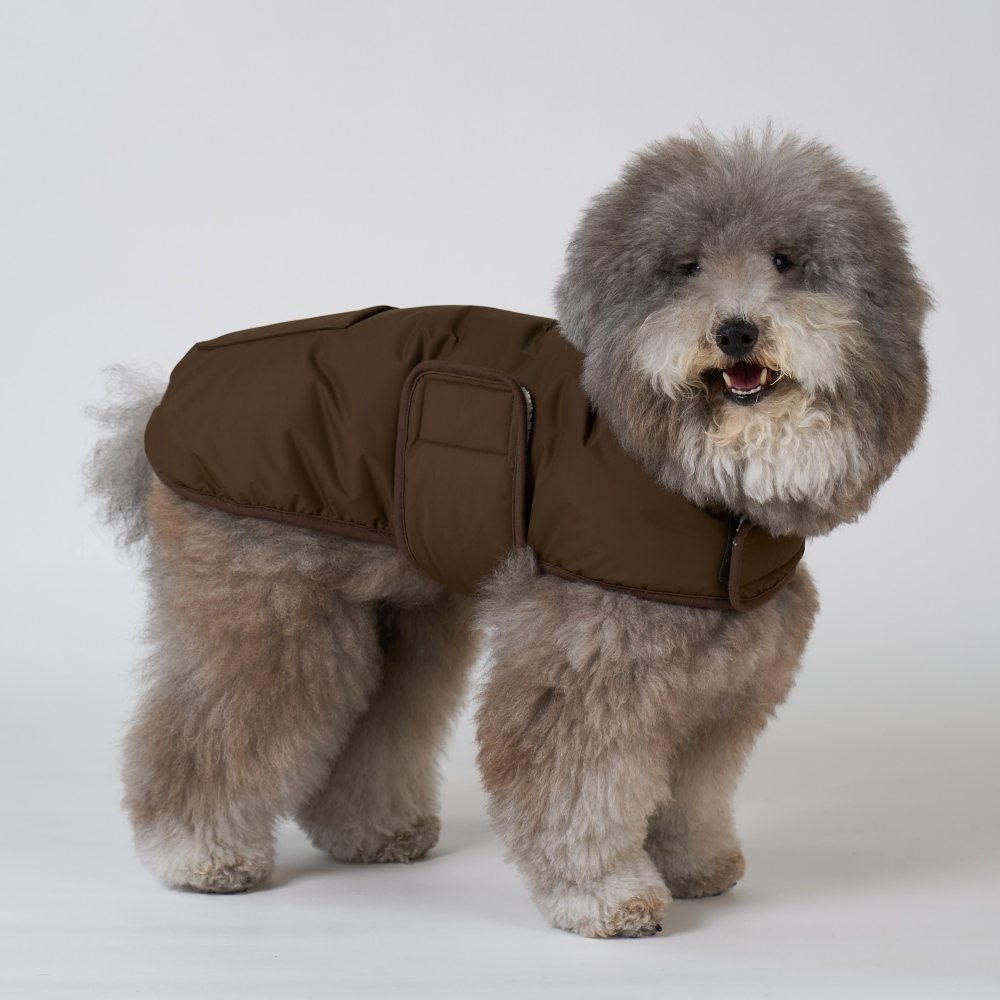 엔젤도그 강아지 패딩 개따뜨텍 숏패딩 겨울옷s