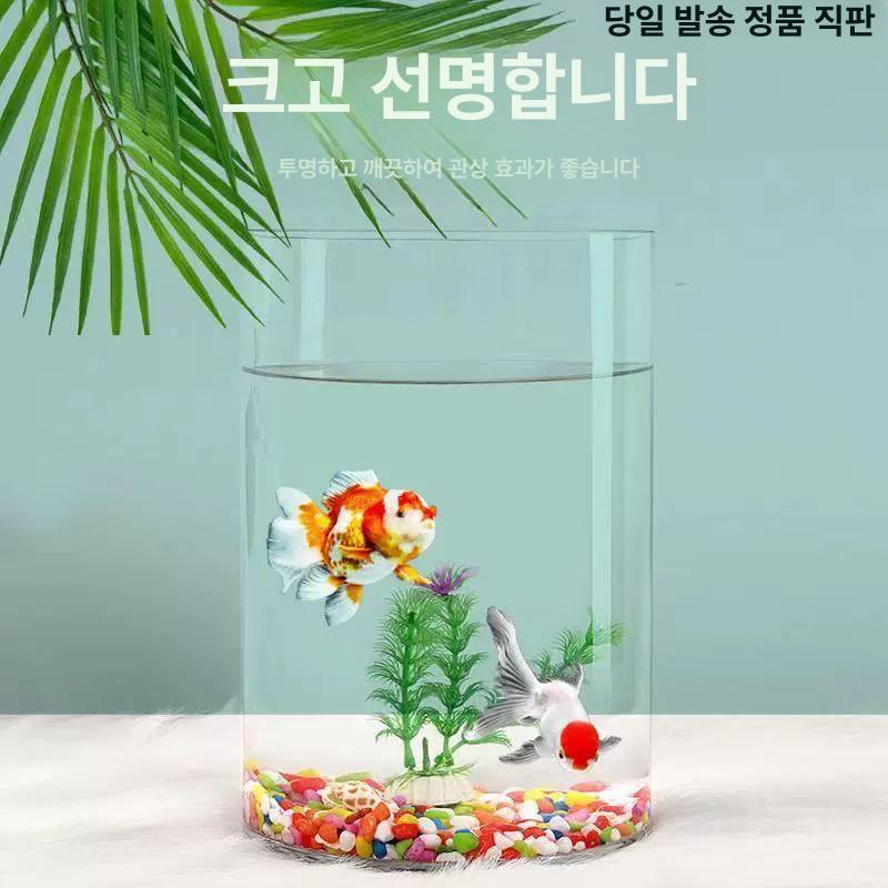 둥근 유리 어항 수조관 사무실 수족관 거실 투명 열대어 관상어 물고기 유리어항 직경 20CM 높이 25CM 즉발 - 상세 이미지 3