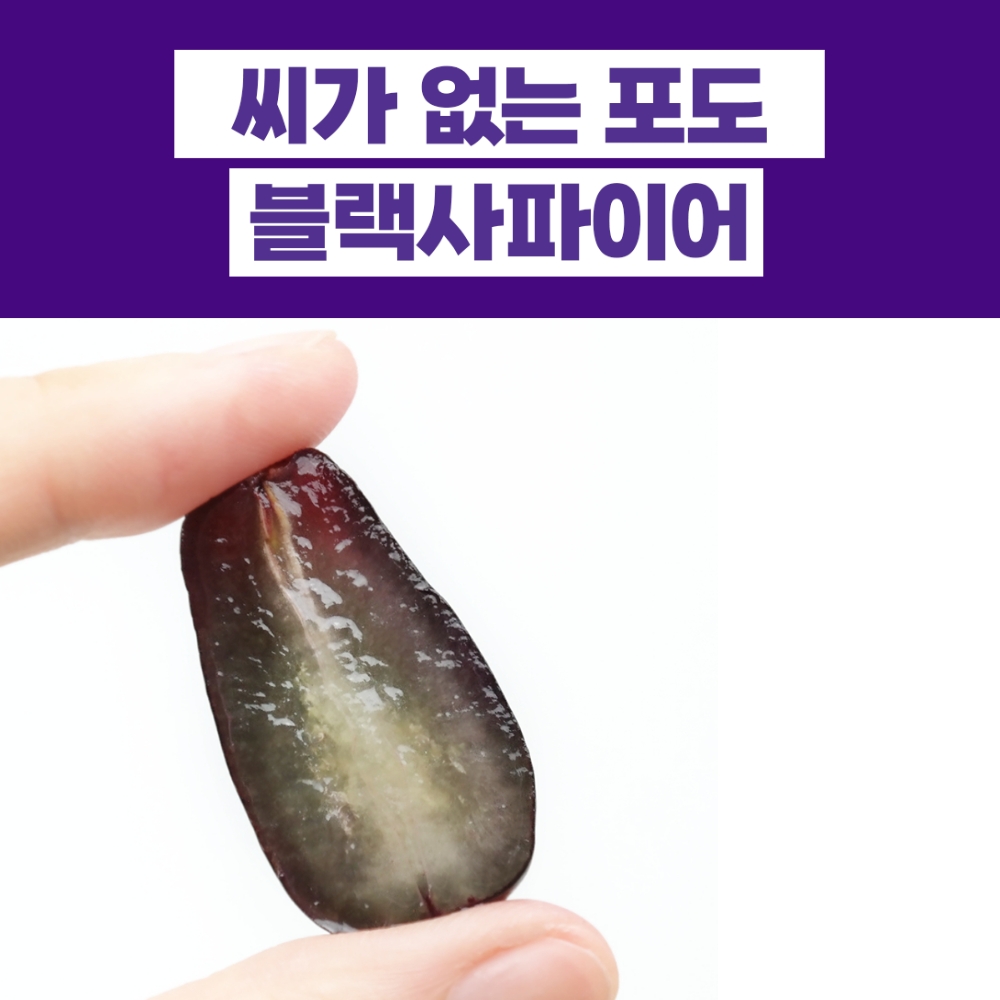 씨없는 블랙사파이어포도 수입 제철과일 가지포도 18Brix, 1kg, 2개 - 상세 이미지 4