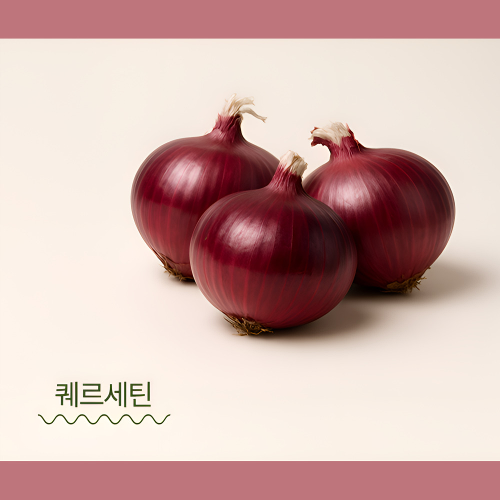 견슐랭 콩고기 저알러지 식물성단백질 강아지 간식 튼튼한 체력, 80g, 1개 - 상세 이미지 2