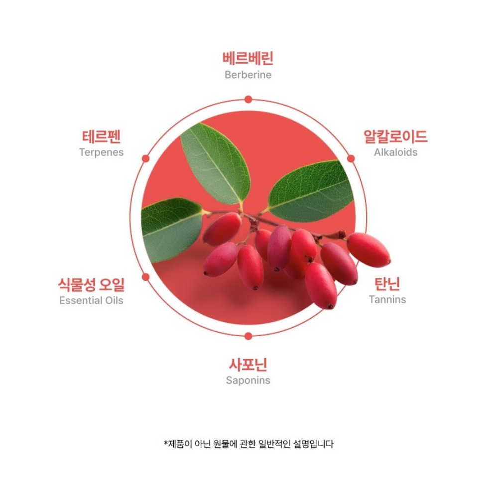 salmsi 베르베린 다윈매자나무 열매추출물 정 고약사 알칼로이드 약2개월 - 상세 이미지 3