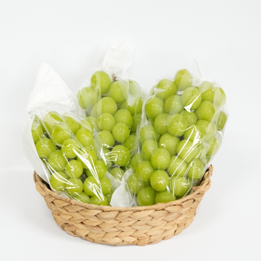 고당도 샤인머스켓 씨없는 청포도 2kg 4kg - 상세 이미지 2