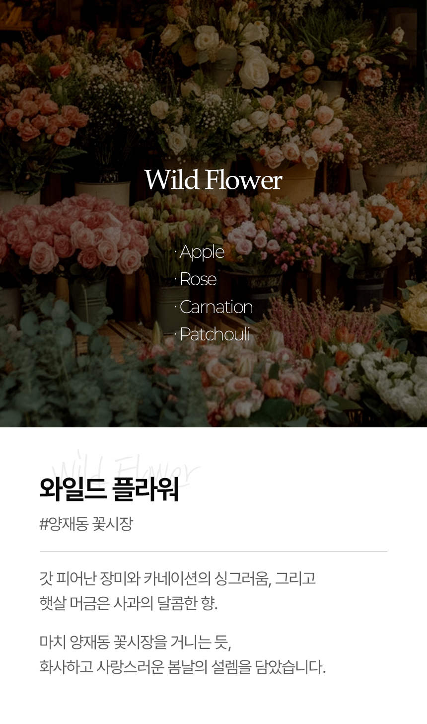 오브보 디퓨저 실내방향제 화장실 사무실 고급 호텔 백화점 집 욕실 옷장 시그니처 1개