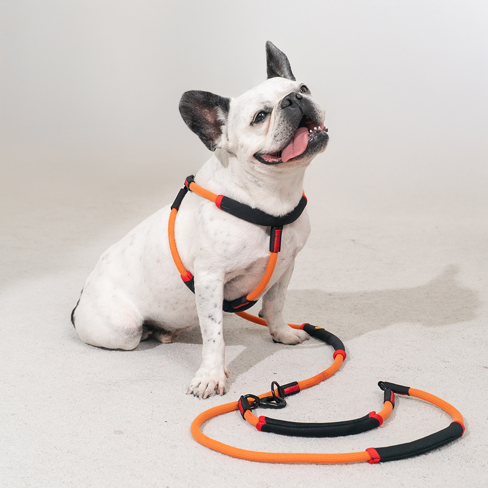 강아지 하네스 가슴줄 대형견 하네스 Y형 프레줄