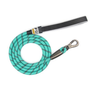 와일드독 로프 강아지리드줄 소형견 대형견 블루그린 S 솔직 후기 | 실제 사용자 리뷰 총정리 - 상품 이미지 1