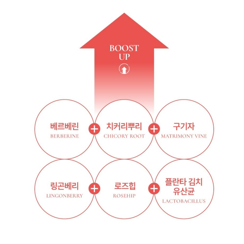 salmsi 베르베린 다윈매자나무 열매추출물 정 고약사 알칼로이드 약2개월 이미지 7