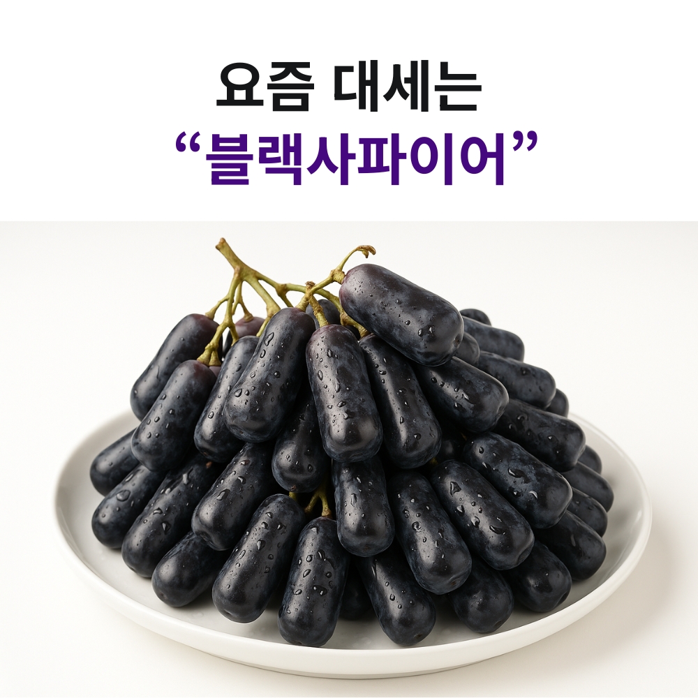 씨없는 블랙사파이어포도 수입 제철과일 가지포도 18Brix, 1kg, 2개 - 상세 이미지 3