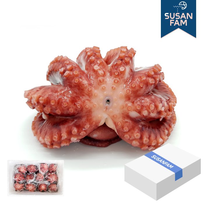 자숙문어 10kg 냉동 문어 필리핀 업소용 도매 박스