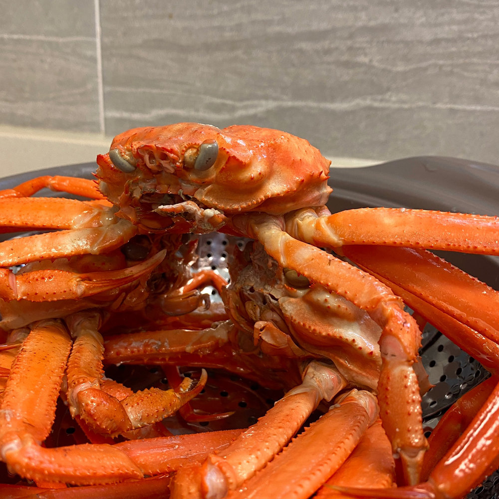 구룡표 자숙홍게 라면용 홍게살 국물용 육수용 홍게 라면 토핑 5kg, 1개 - 상품 이미지