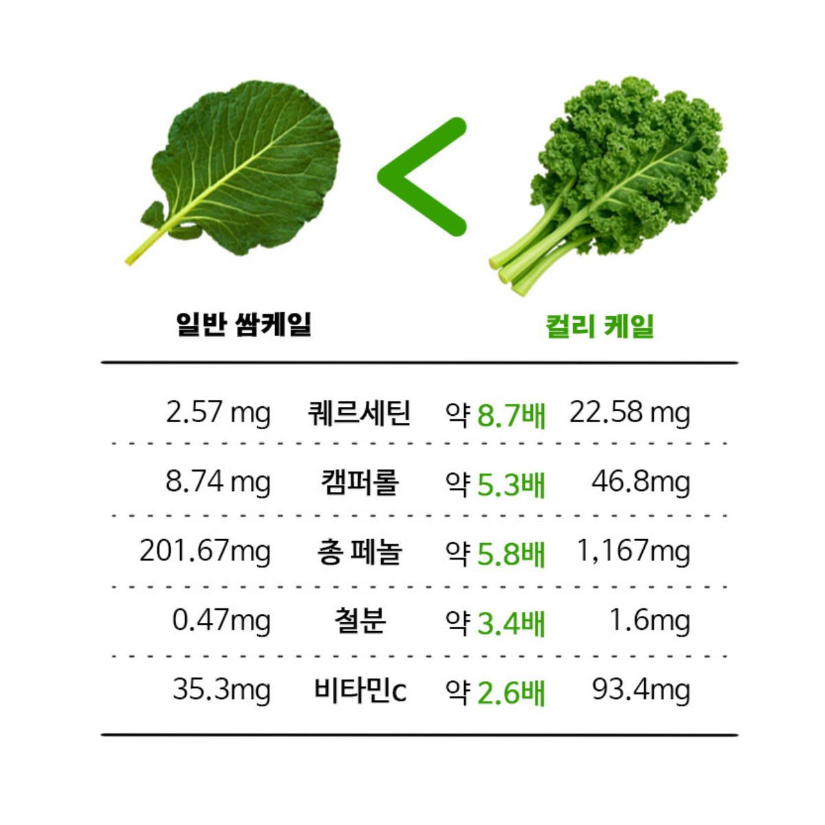 유기농 컬리케일 미국산 동결건조 곱슬케일 순수 식물성 추출물 600mg 60정 2개 이미지 4
