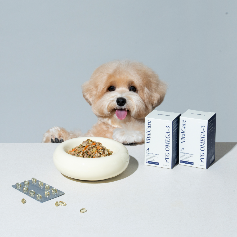 씽크라이크펫 순도80% KD파마 강아지 오메가3 250mg 60캡슐 피부 관절 영양제 바이탈케어 알티지