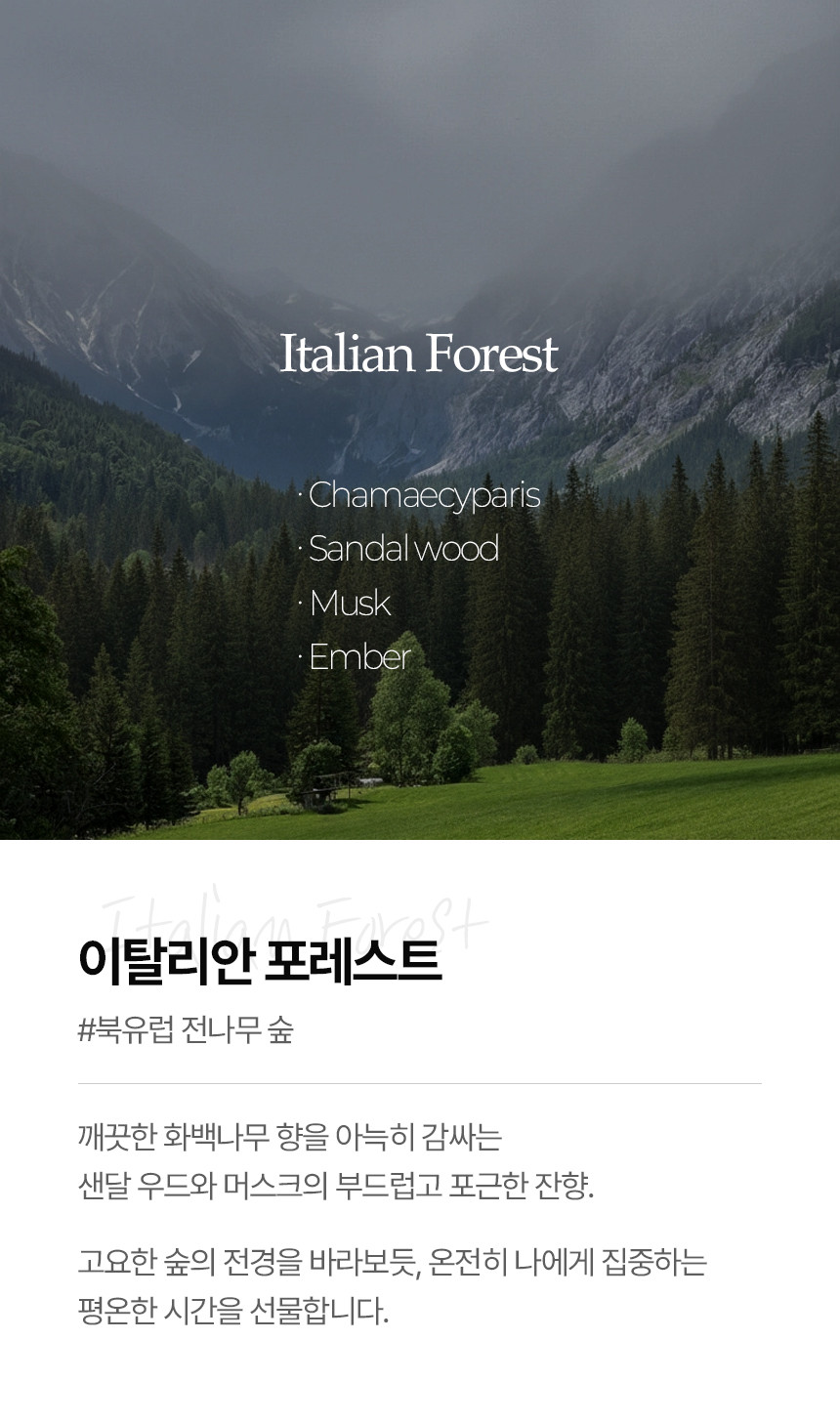 오브보 프리미엄 디퓨저 실내방향제 화장실 사무실 고급 호텔 집 욕실 옷장 시그니처 1개 사진 5