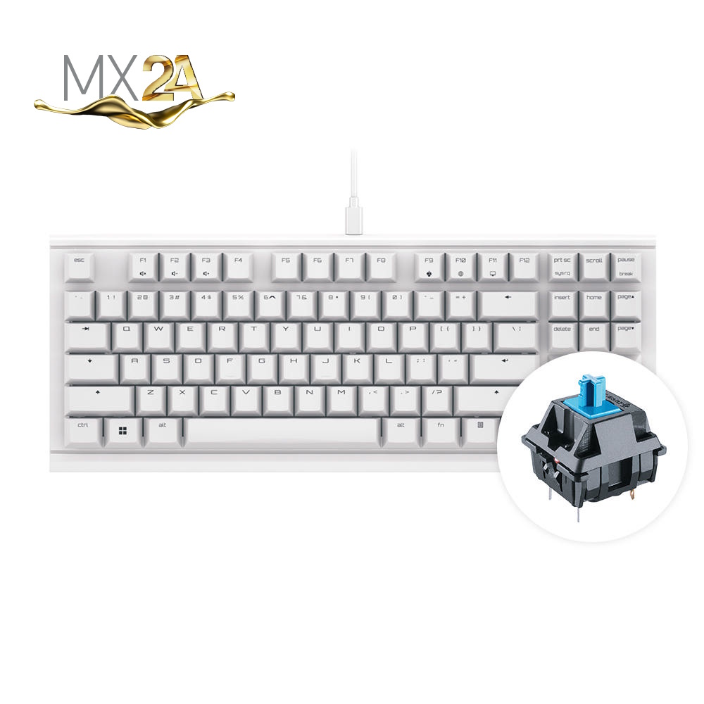 체리 MX TKL 키보드 청축 키보드 키보드 리뷰 기계식 키보드