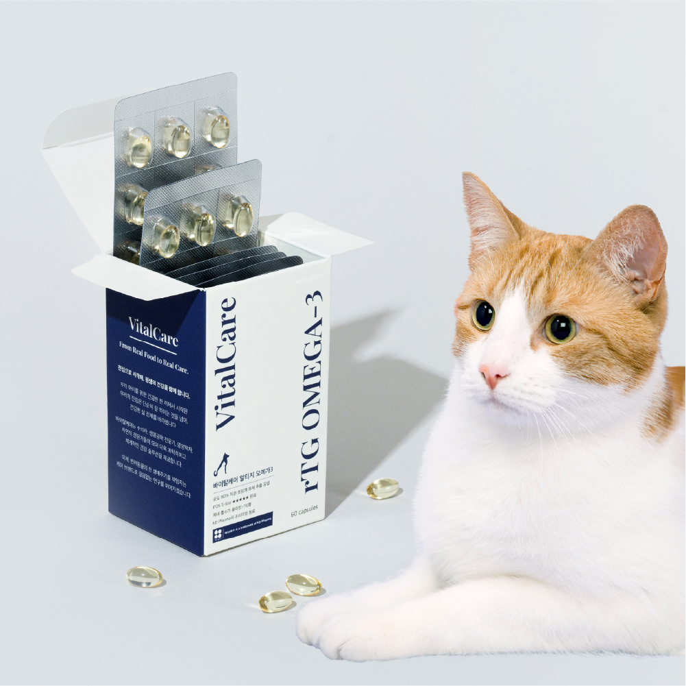 씽크라이크펫 순도80% KD파마 강아지 오메가3 250mg 60캡슐 피부 관절 영양제 바이탈케어 알티지