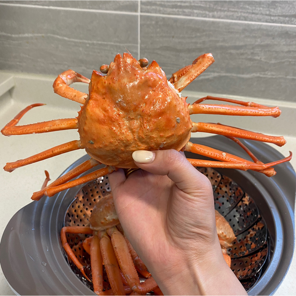 구룡표 자숙홍게 라면용 홍게살 국물용 육수용 홍게 라면 토핑 5kg, 1개 이미지 6