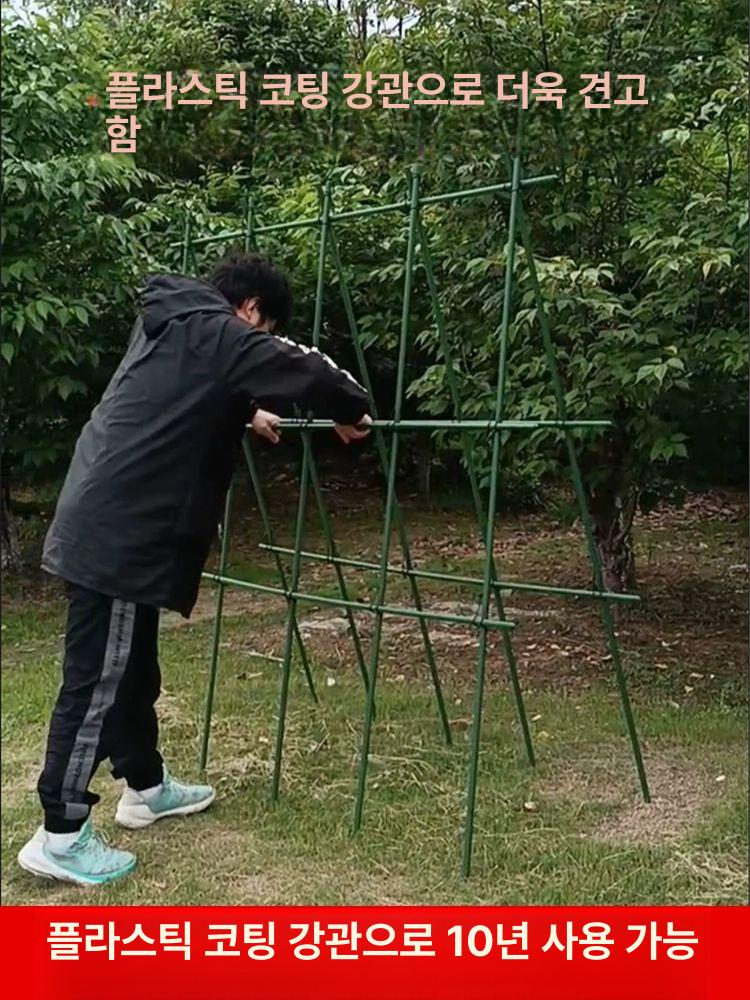 대형 오이지지대 호박 텃밭 토마토 식물지지대 포도 원예 넝쿨 장미 농사용 20mm 210cm 150cm - 상세 이미지 3