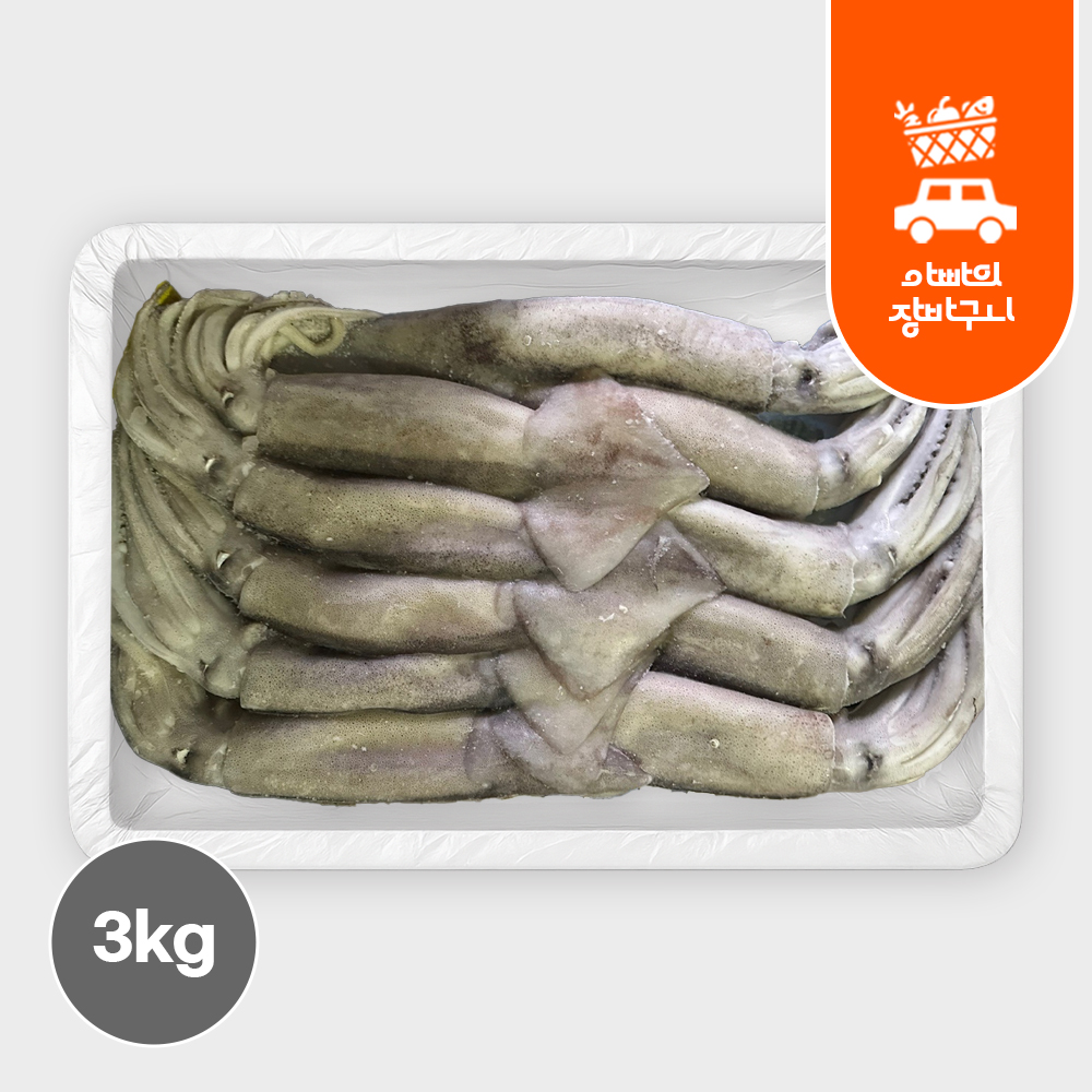 냉동 베이트 오징어 3kg 육동 오징어 통오징어 업소용 가정용