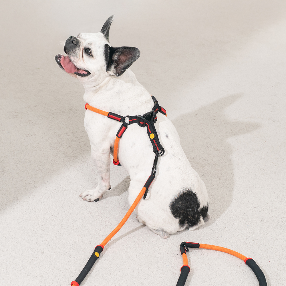 강아지 하네스 가슴줄 대형견 하네스 Y형 프레줄