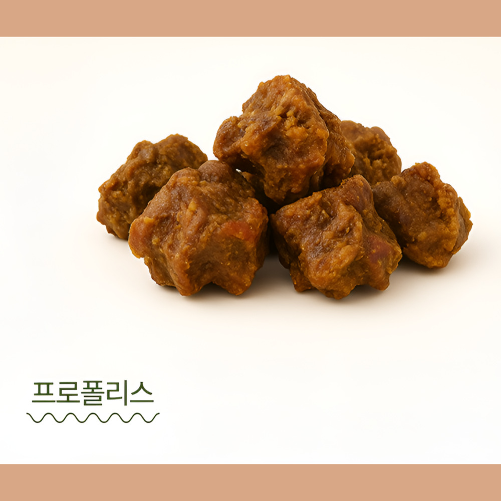 견슐랭 콩고기 저알러지 식물성단백질 강아지 간식 부드러운 배변, 80g, 1개 - 상세 이미지 2